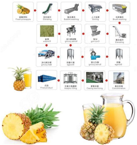 pineapple processing machinery|Pineapple processing Plants & Machines for Juice .